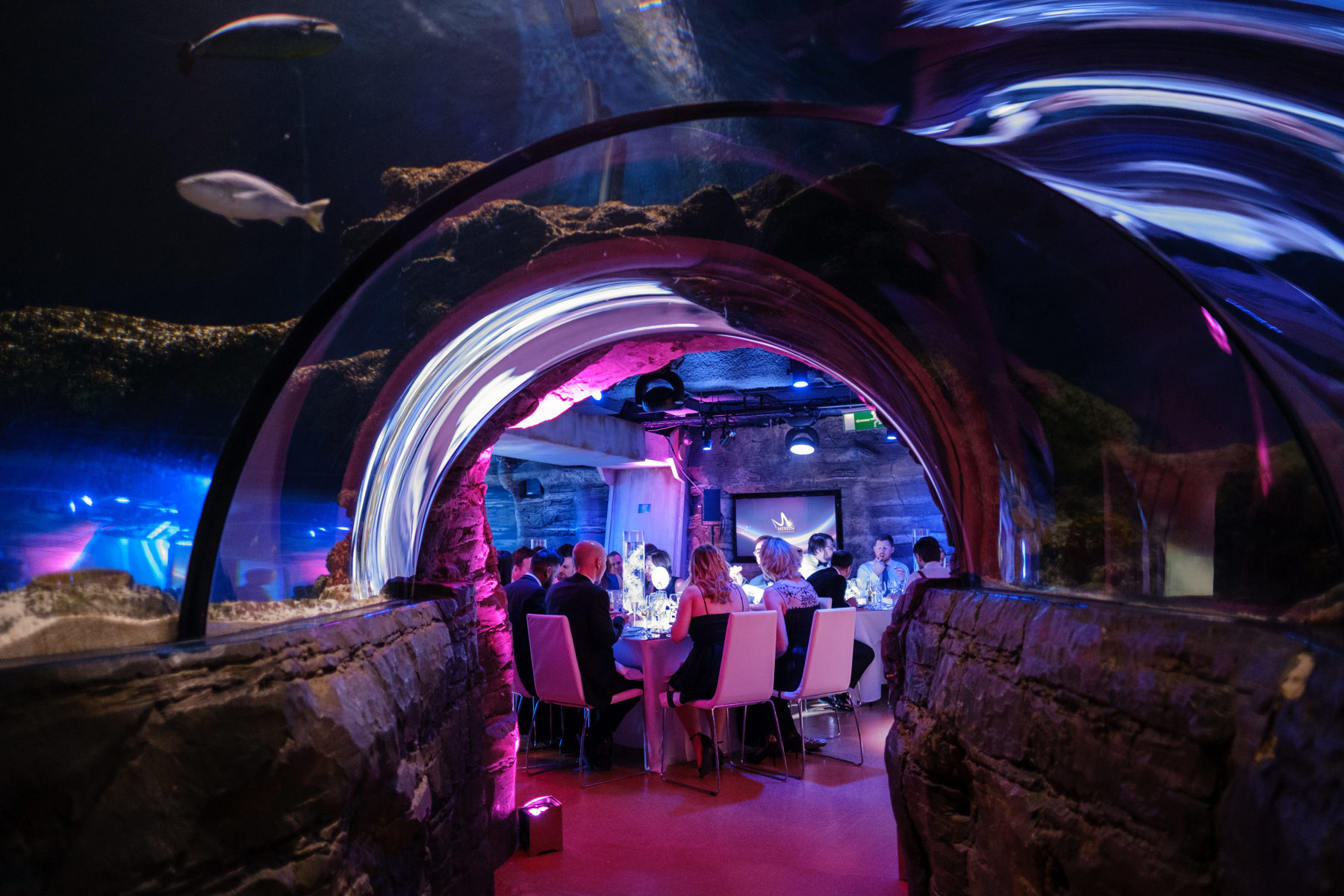 Hire SEA LIFE London Aquarium For Corporate Parties And Events