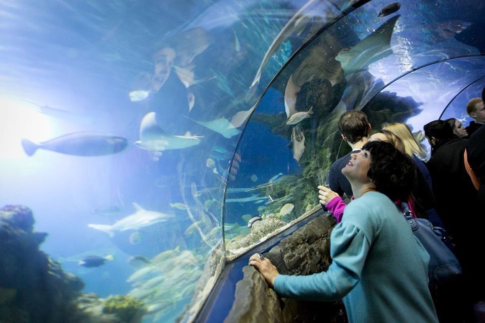 SeaLife London Aquarium