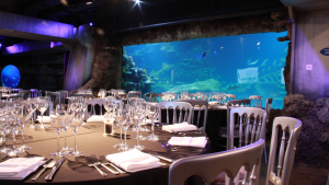 Dinner party tables and chairs with a backdrop of a large, floor to ceiling aquarium full of fish, sharks and turtles. Low lighting sets an intimate atmosphere perfect for a dinner party.